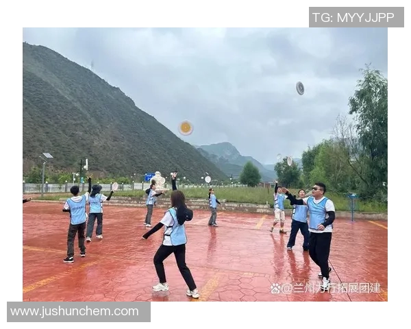 飞盘热潮下的上海飞盘队个人能力提升与团队协作新探讨