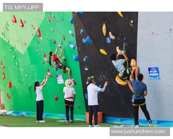 成都攀岩队的意识提升与团队合作探讨聚焦攀岩运动的未来发展