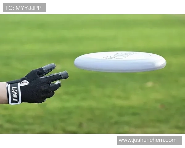 飞盘力量榜单揭晓广州飞盘队荣登第四名展现强劲实力