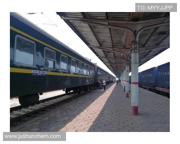 西安排球队区域防守革新探讨与战术解析全景呈现