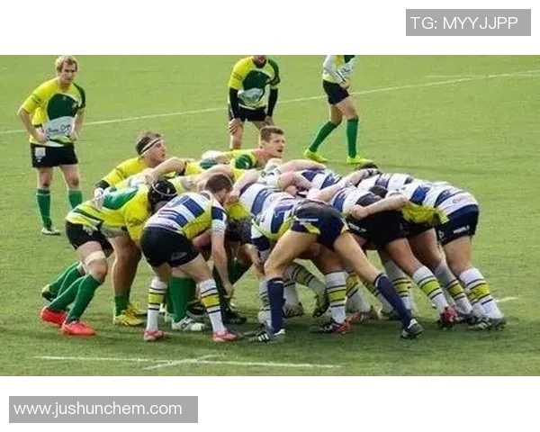 橄榄球运动的起源发展与全球影响力：探索这项激动人心的团队运动