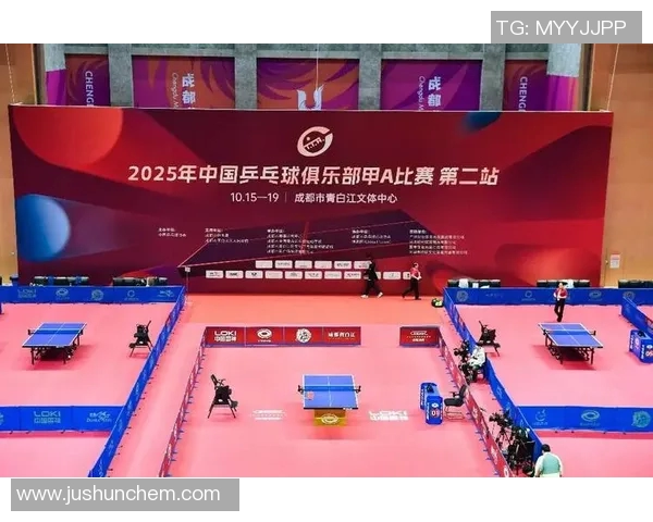 乒乓球盛宴：深入解析成都乒乓球队的独特技术与训练秘诀